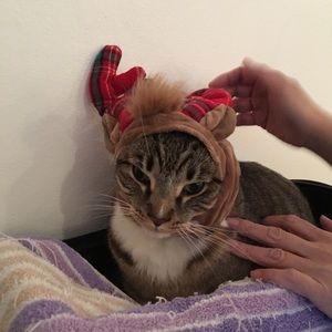 Meet your Posher, Tiffany